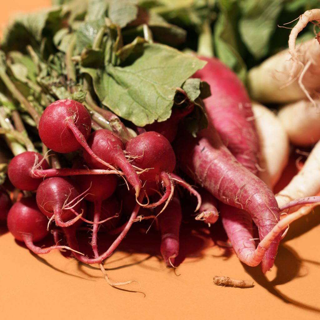 Misfits radishes crop What The Heck Do I Do With Radishes?