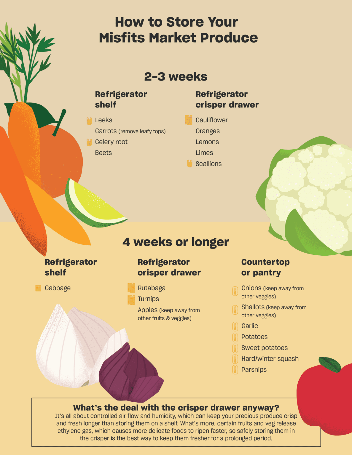 The Ultimate Fresh Produce Storage Guide Misfits Market