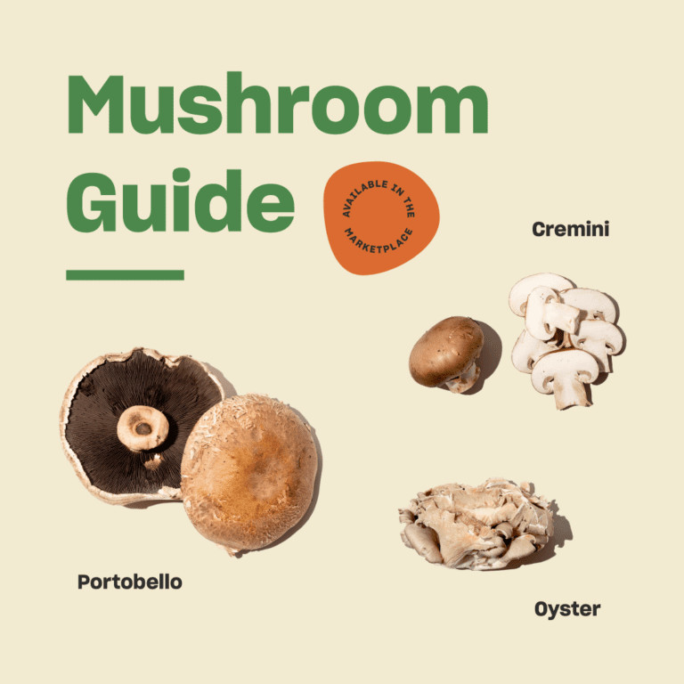 Everything You Need to Know About Mushrooms - Misfits Market