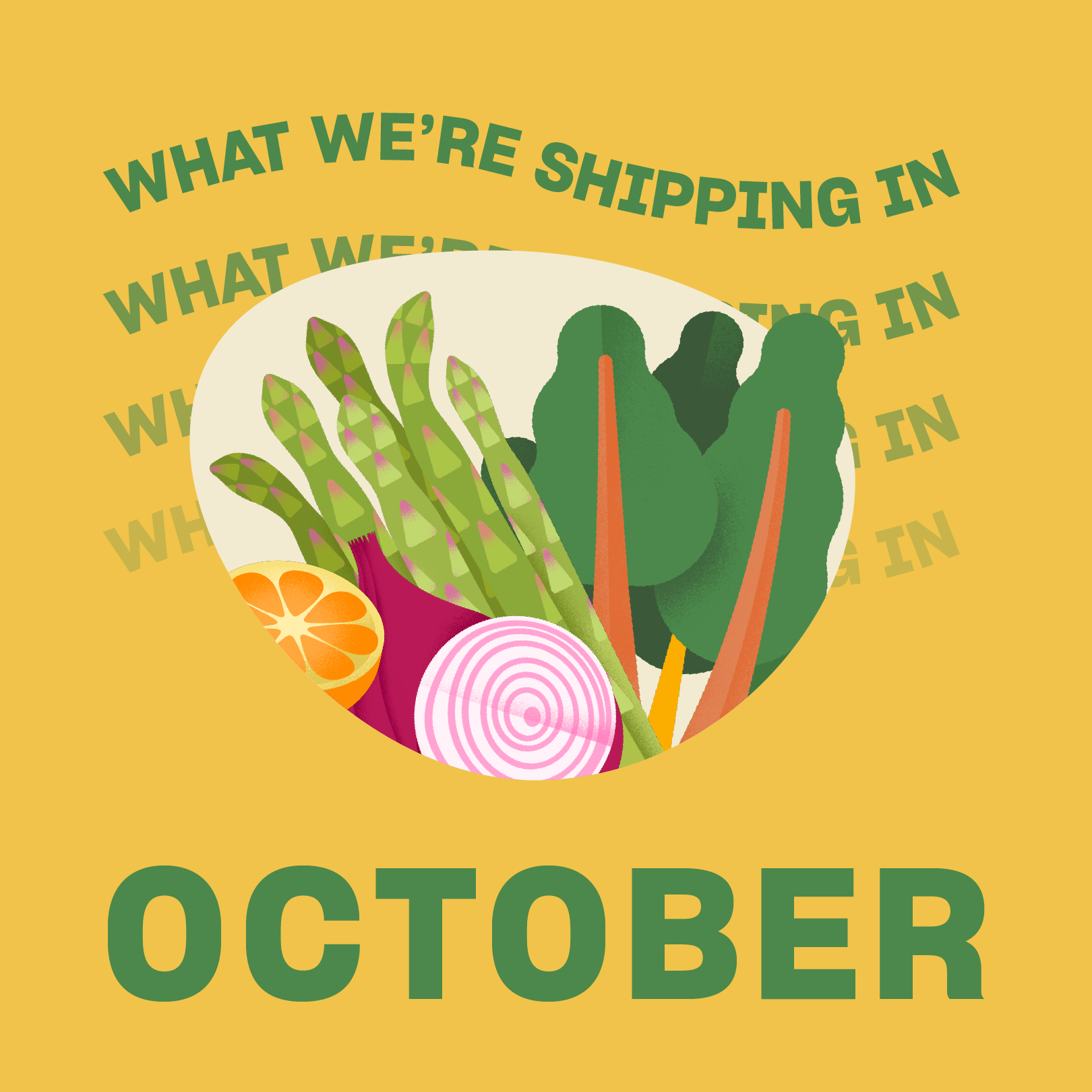 What's In Your Box? October Edition - Misfits Market