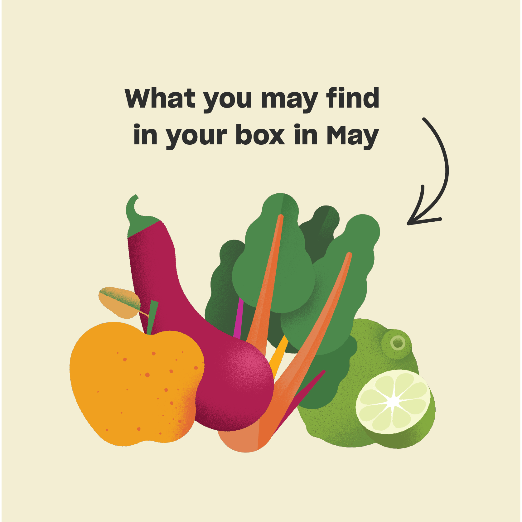 What's In Your Box? May Edition Misfits Market