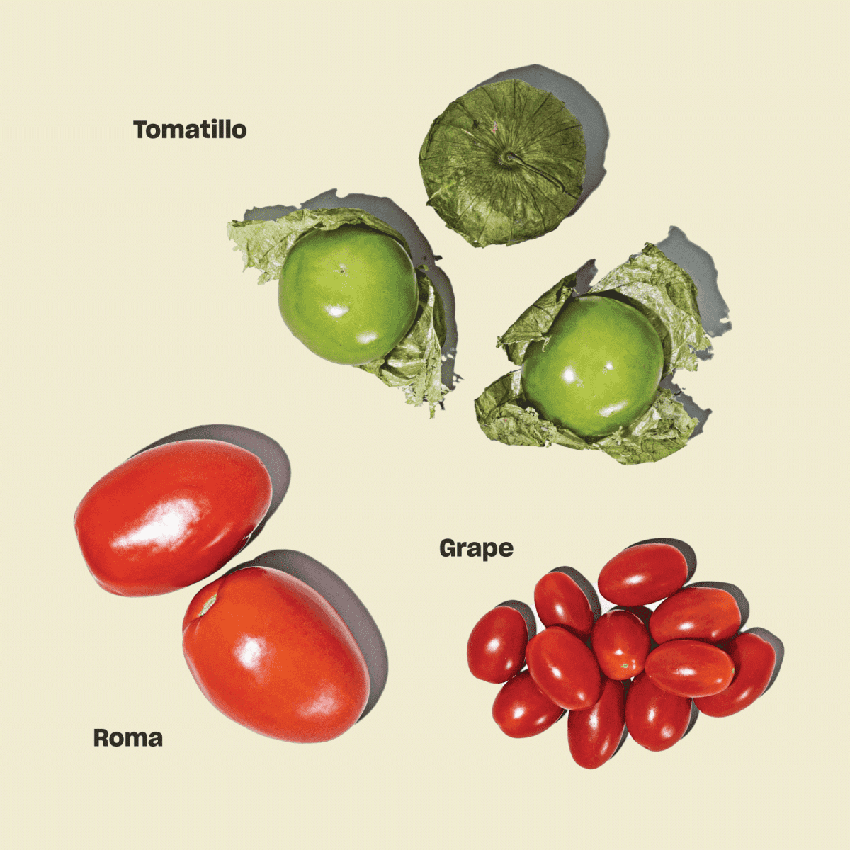 Everything You Need to Know About Tomatoes Misfits Market Blog