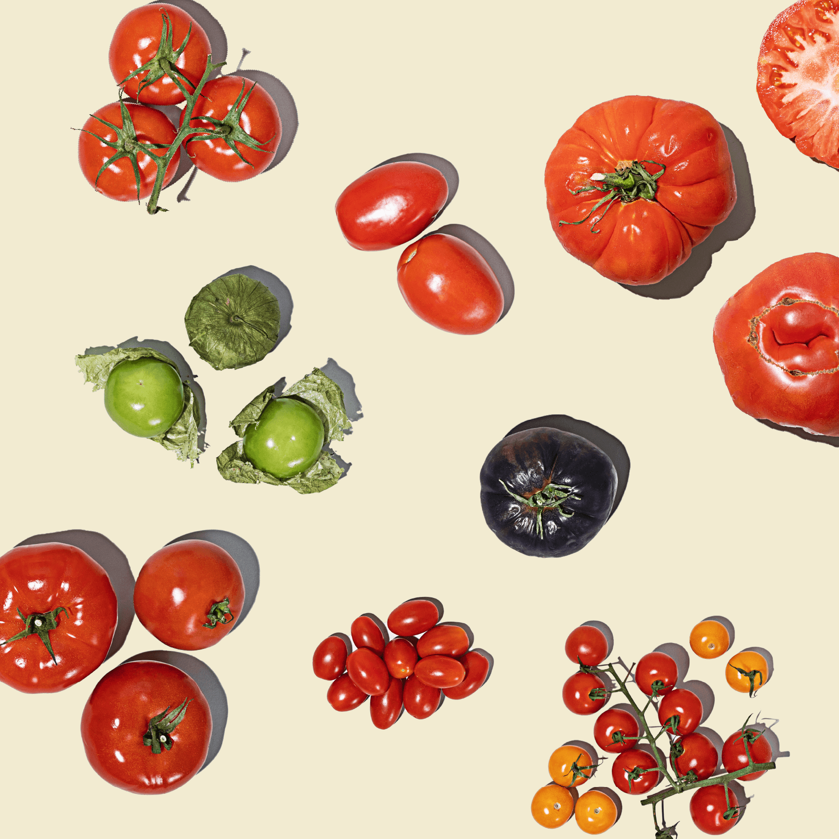 Tomato _ プロフ必読お願いします tomato – 株式会社百姓庵