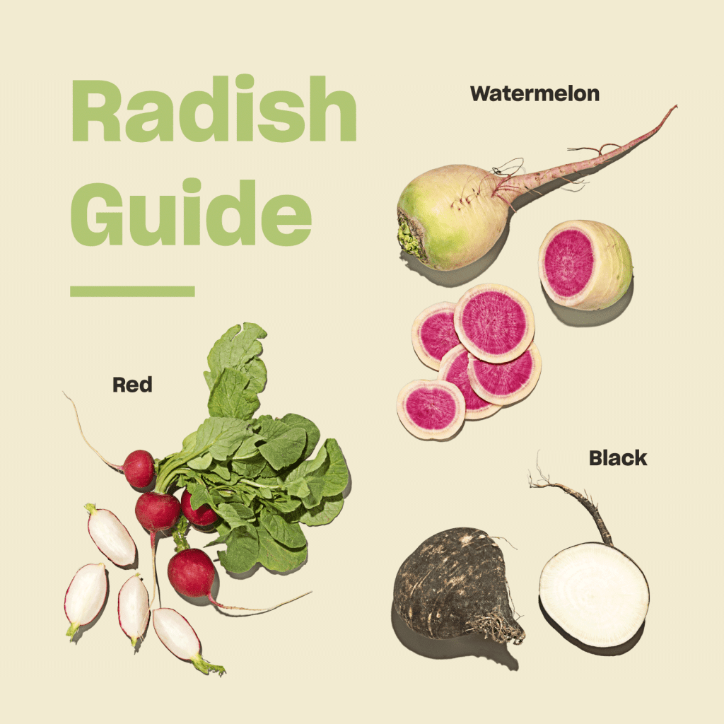 The Ultimate Guide to Radishes