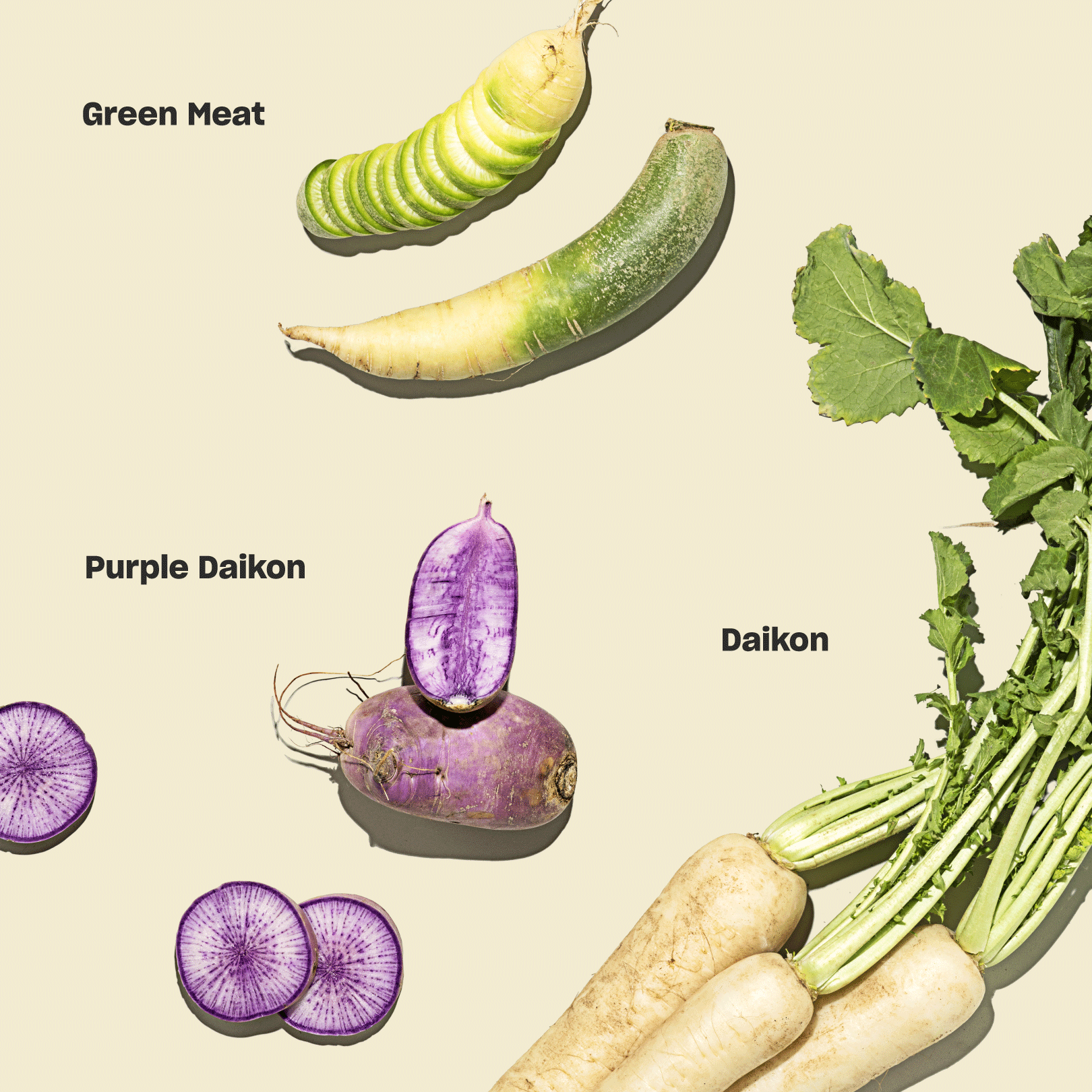 The Ultimate Radish Guide: From Planting To Perfect Plate - 08tcade