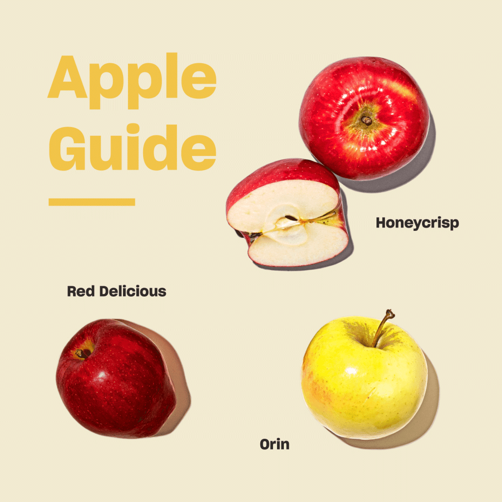 Types of Apples and Apple Facts