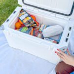 How to Pack for Your Picnic Like a Pro - Misfits Market