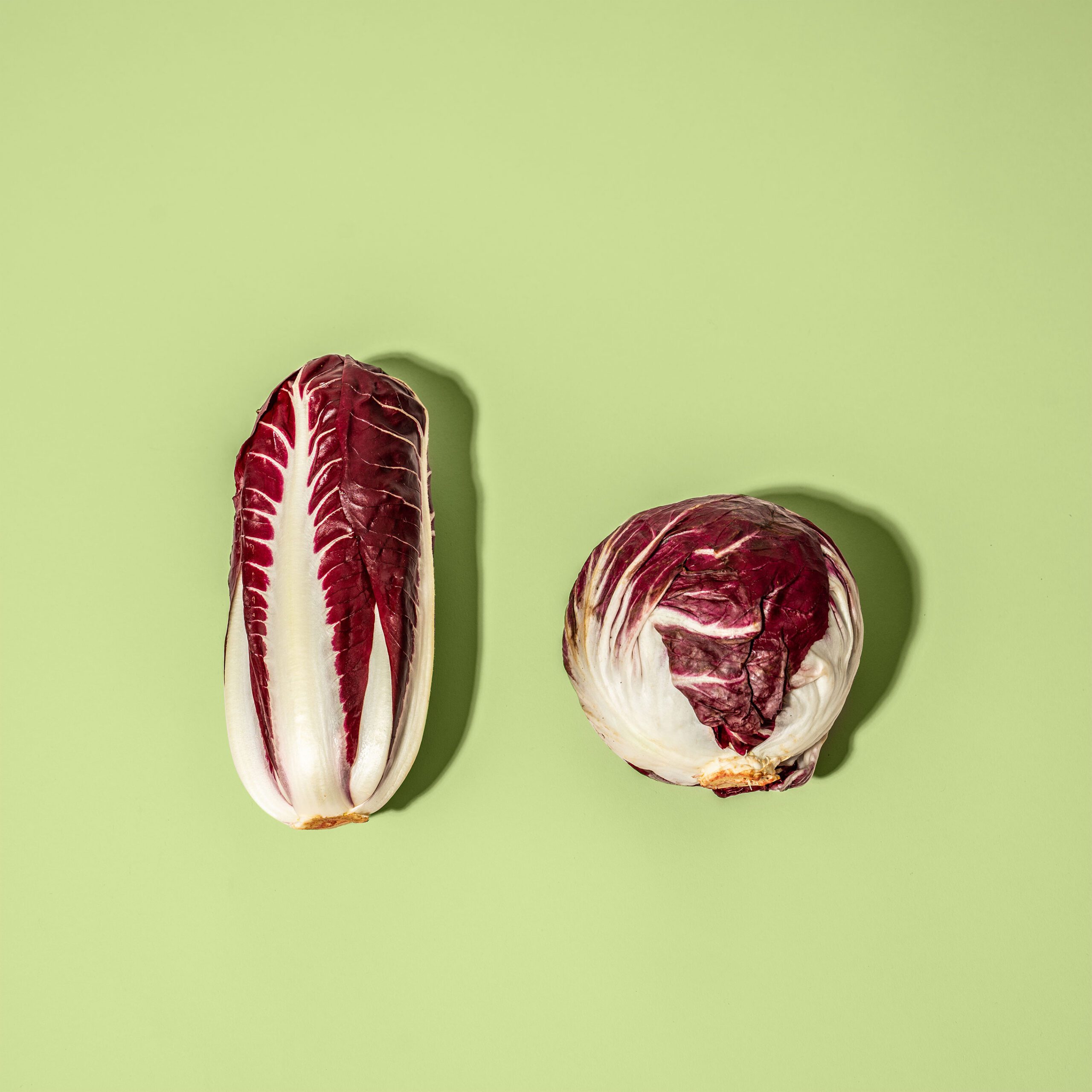 Chioggia Radicchio Vs. Treviso Radicchio Differences | Misfits Market